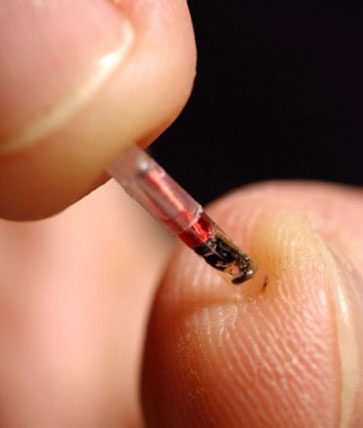 Descubre cómo funciona nuestro sistema de cronometraje